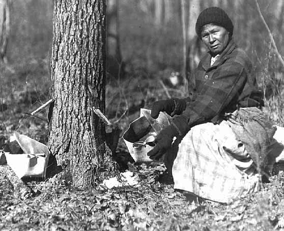 Mrs. John Mink collecting maple sap, Mille Lacs, 1925.
