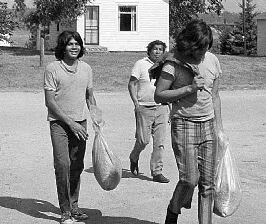 Indian boys bringing in wild rice for payment, Leech Lake, 1970