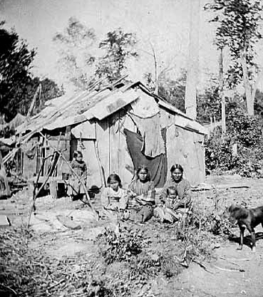 Woman and children seated in front of Chippewa Indian wiigwaam, ca. 1875.