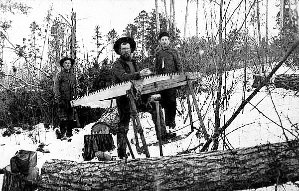 Lumberjacks filing and setting the saw, ca. 1905.