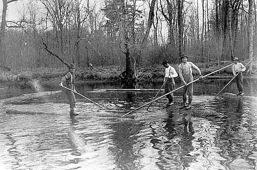 Log drivers on the Big Fork River, Koochiching County, 1912.