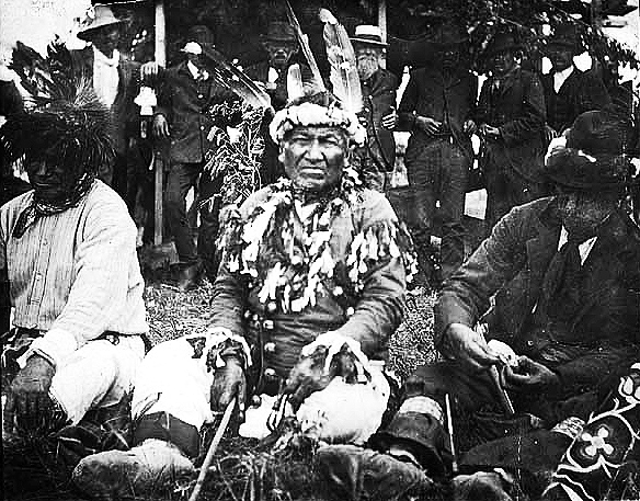 Chippewa Indians at White Earth; Chief Wadena seated center, 1885