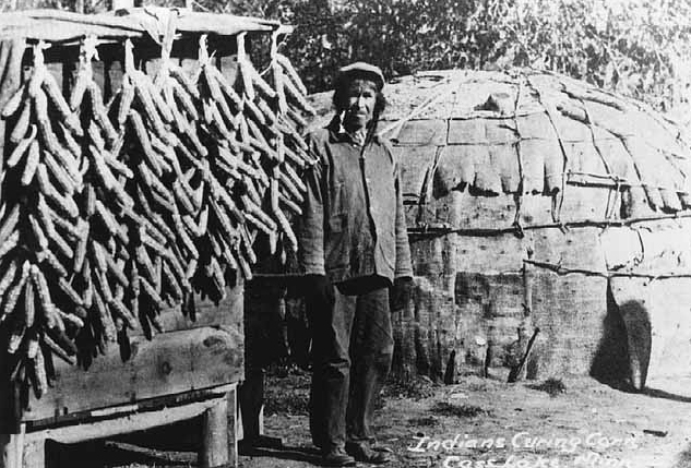 Indians curing corn, Cass Lake, 1920