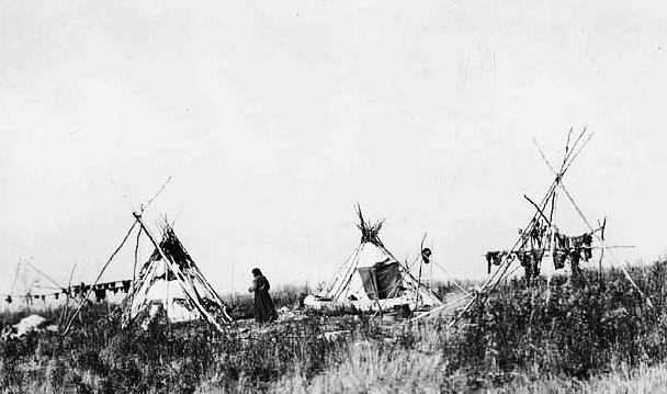 Drying moose meat, Lake of the Woods, 1870