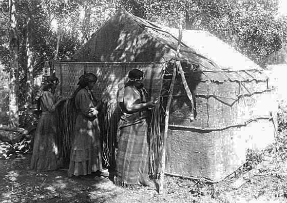 Chippewa women weaving mat in shade of bark house, ca. 1920.