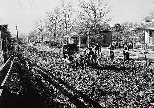 Buggy on badly rutted road, ca. 1900.