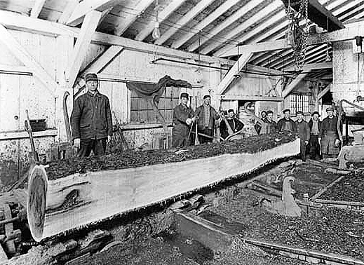 Cutting logs at Skibo Timber Company sawmill, Skibo.