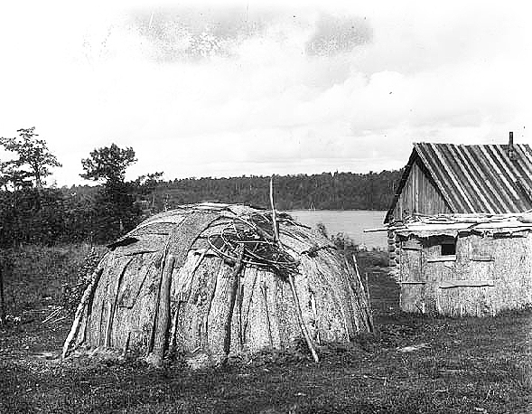 Chippewa wiigwaam and log home, ca. 1895.