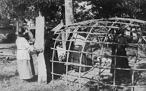 Women placing strips of black ash and birch bark in position on lodge frame, Mille Lacs, ca. 1915.