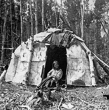 Woman seated in front of wigwam, Chippewa camp, 1870