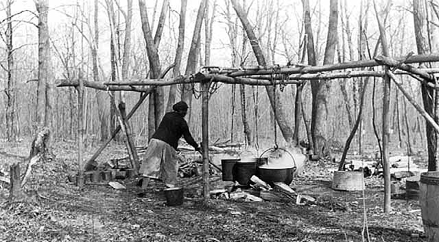 Mrs. Dick Gahbowh boiling sap for maple sugar and syrup, Mille Lacs, ca. 1925.