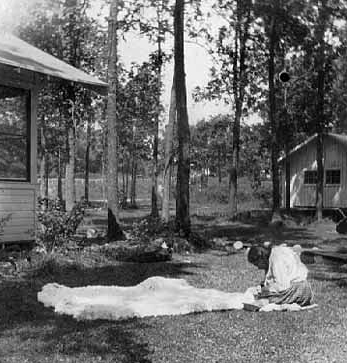 Woman working on rabbit robe, Mille Lacs, ca. 1915.