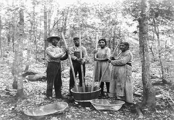Chippewa Indians beating wild rice to break the husk, 1925