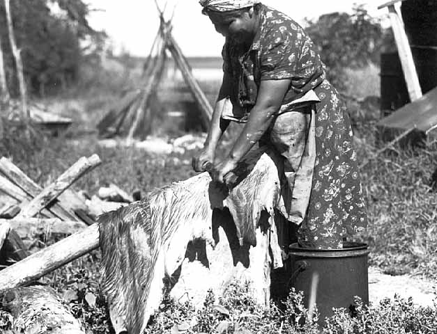 Mrs. Jim Dritt scraping hide, Nett Lake, 1946