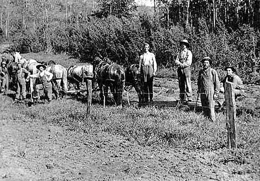 Building a road in Minnesota, ca. 1905.