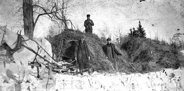 Moving hay in winter near Waskish, ca. 1910.