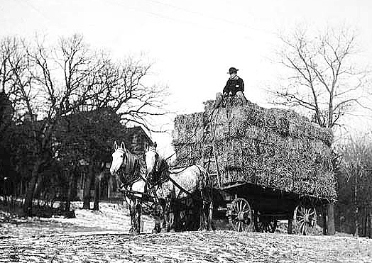 Wagon loaded with hay bales, ca. 1910.