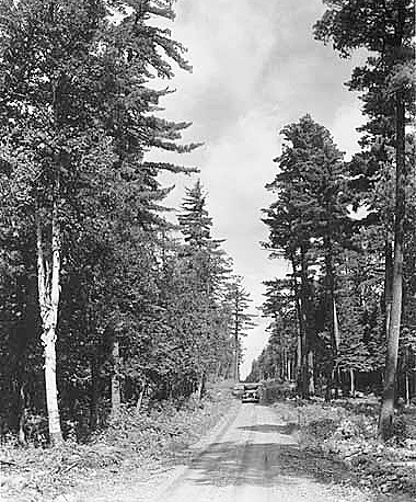 Car on unpaved St. Louis County road, ca. 1930.