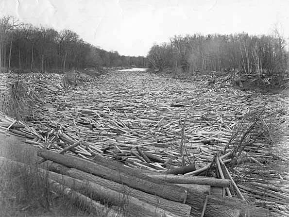 Tail end of a log jam on the Little Fork River, ca. 1920.