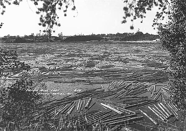 Paper mill logs, Grand Rapids, ca. 1920.