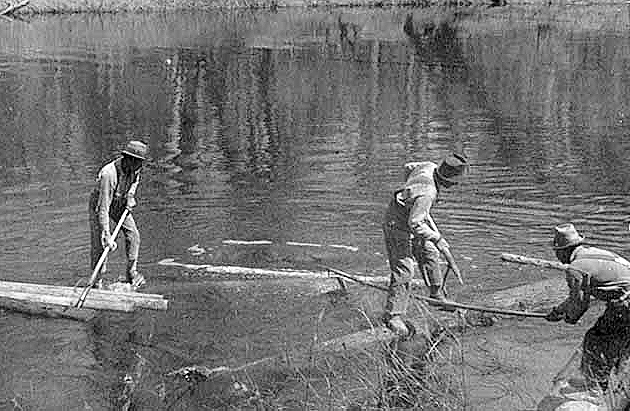 "Lazoo Brothers," three reservation Indians who were log drive crew members, cleaning up and refloating logs hung up on banks, 1923.