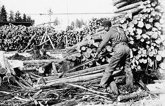 Peeling posts with a spud, Page-Hill Company lumber camp, 1910