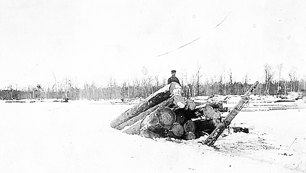A load of logs breaks through the ice, ca. 1890.