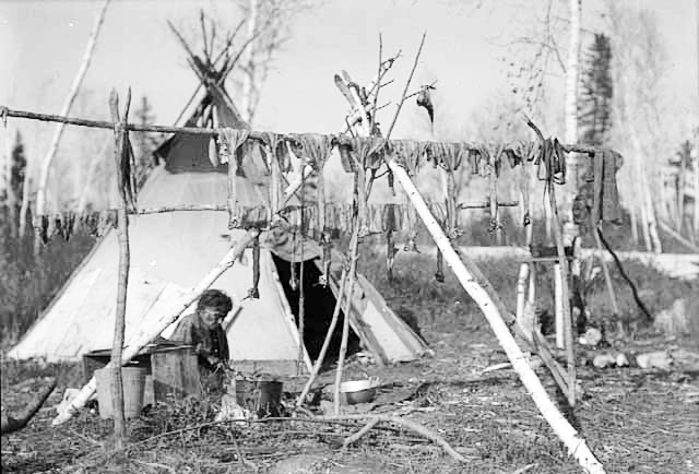 Drying fish, Lake of the Woods, 1912.