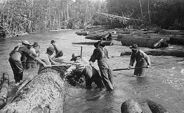 Group of men in stream with logs, ca. 1910.