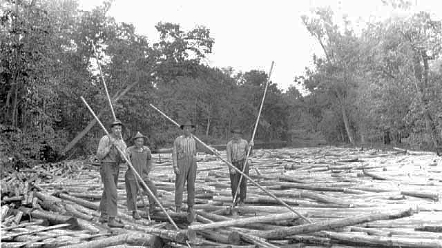 Log drive, east end of Savannah Portage, ca. 1910.