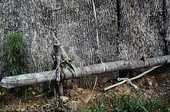 Log weight holding down bark on wigwam, Lake Mille Lacs, 1959