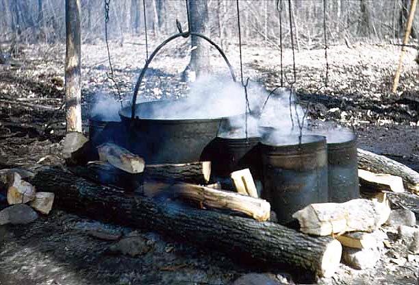 Large cast iron pot being used to reduce sugar maple sap to maple