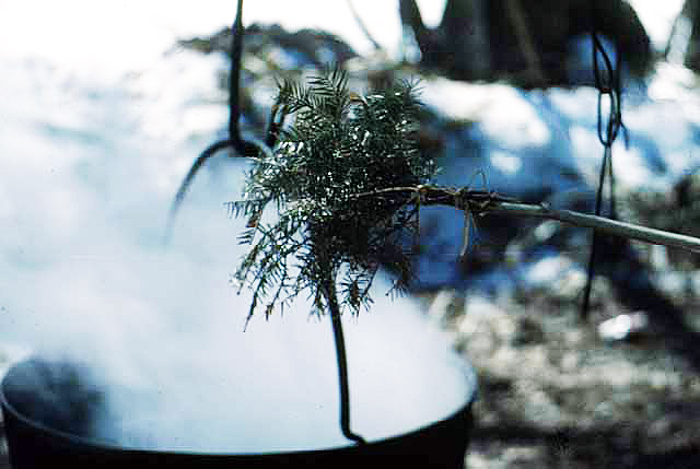 Spruce Branch to Stop Kettle Boiling Over, Lake Mille Lacs, 1947.