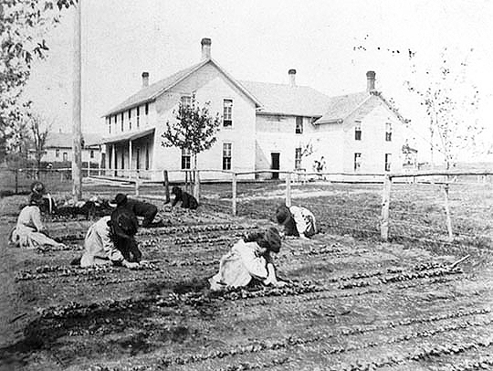 School gardens, Indian boarding school, ca. 1890 - 1900.