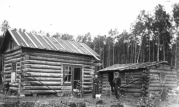 Homestead in the woods, ca. 1900.