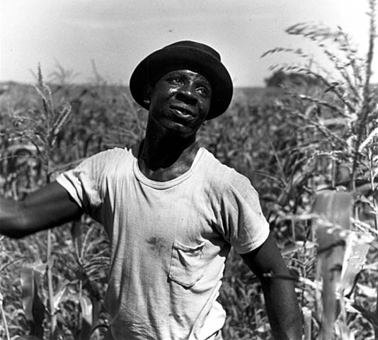 Green Giant worker, LeSueur, Minn. 1953.