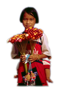 Hmong girl.