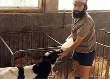 Dairy at Kibbutz Sde Eliyahu.