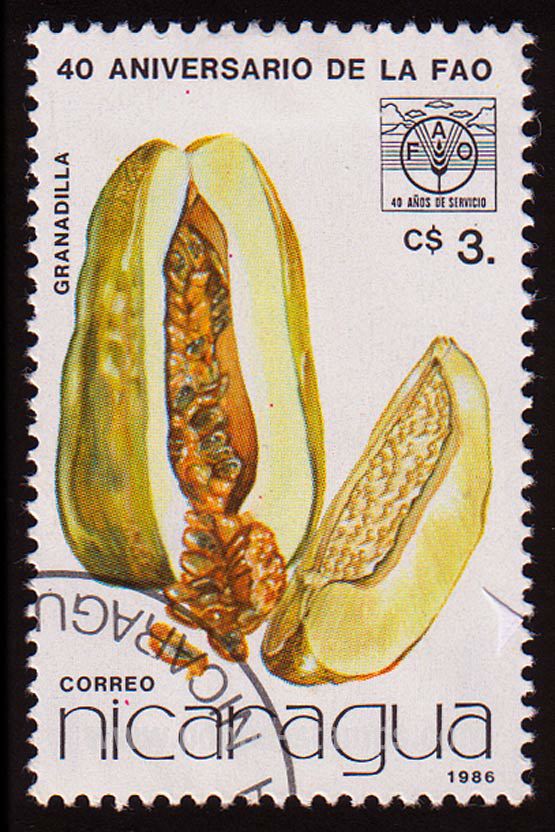 Nicaragua stamp featuring a granadilla