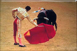 Spanish Bullfight