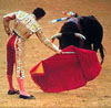 Spanish Bullfight