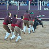 Portugeese Bullfighting