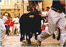The running of the bulls at Pamplona, Spain