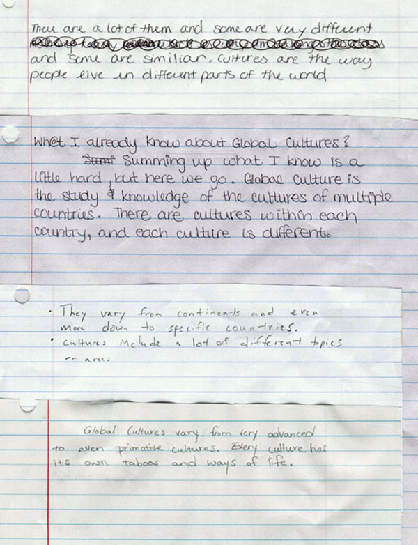 Results of "What do I already know about Global Cultures?"