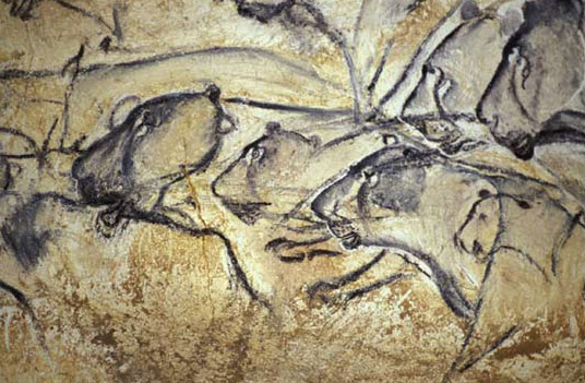 Chauvet cave, lion panel.