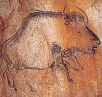 Chauvet cave, running bison.