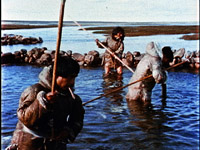 Netsilik Fishing at the Stone Weir.