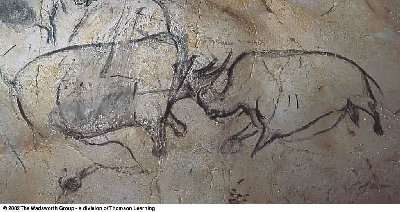 Chauvet Cave paintings, Bear. Aurochs and rhinoceros.