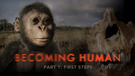 NOVA: Becoming Humman Part 1: First Steps