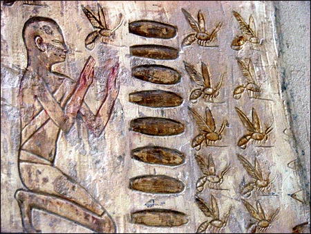 Beehive, Pabasa, Ancient Egypt .